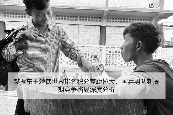 樊振东王楚钦世界排名积分差距拉大，国乒男队新周期竞争格局深度分析